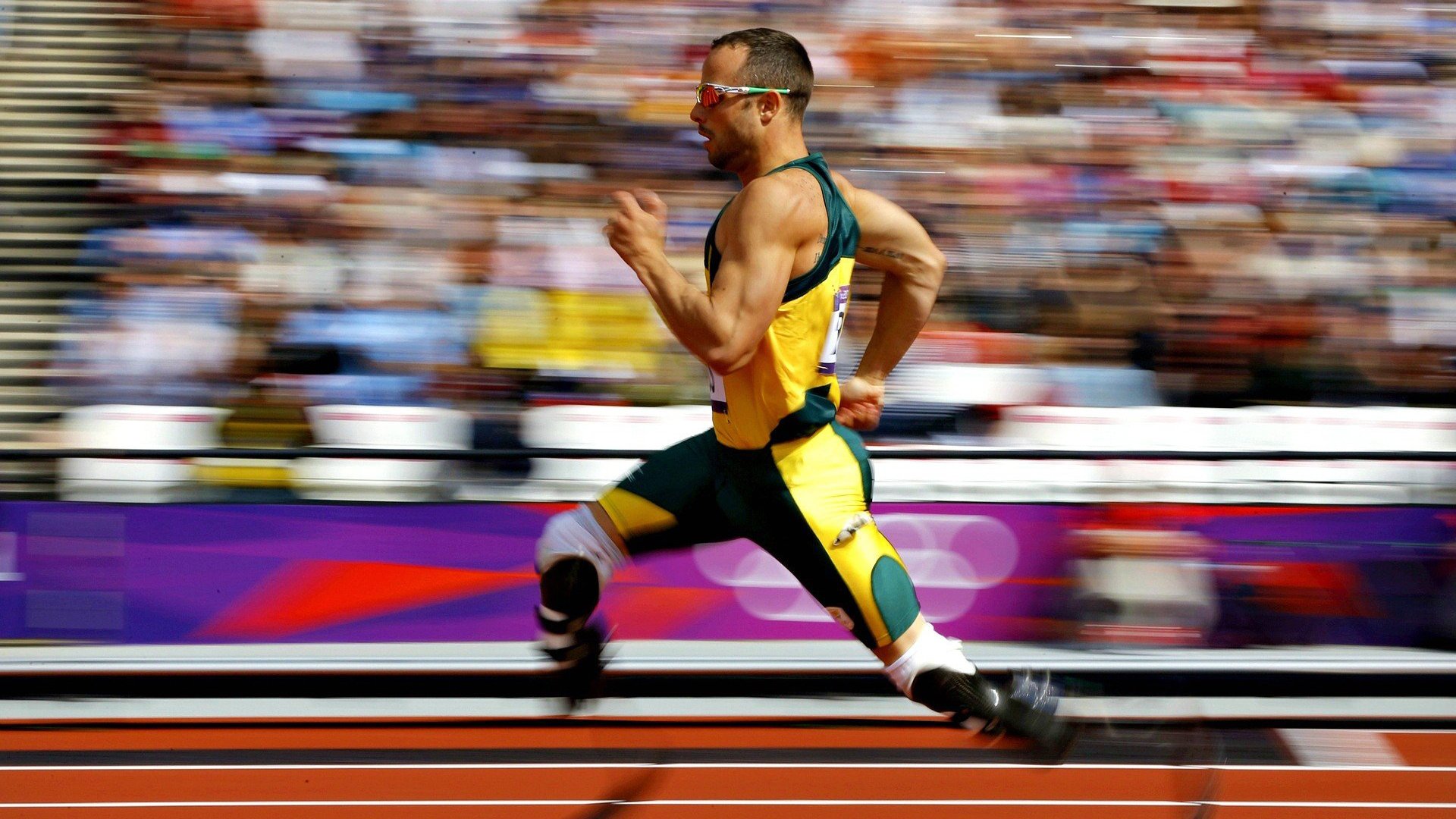 城市体育公园项目社会效益评估，城市体育公园项目社会效益评估报告