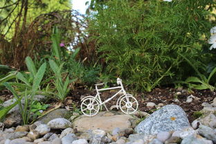 球队伤病恢复情况追踪，球员伤病情况