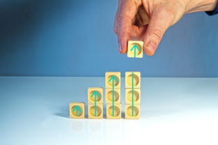 新闻中心深度分析品牌活动执行全程构建长期发展新优势，品牌活动新闻稿范文